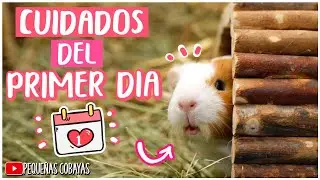 COMO CUIDAR un CUYO el PRIMER DIA