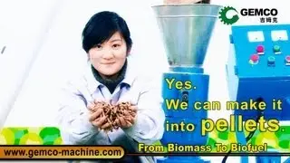 wood pellet mill China, pellet mill, pellet press, small pellet machine
