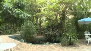 Grand Cayman Weddings - Outdoor Locations
