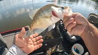 Slip bobber fishing with live minnows