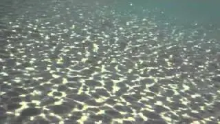 snorkeling san carpoforo