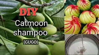 How to make Catmon Shampoo (Gugo) DIY #arnventurecontreras