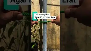 Trik mengikat yang kuat. #shortsvideo #cara #shorts #short #shortvideo  #tutorial #lifehack