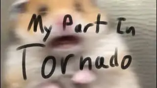 My Part in 