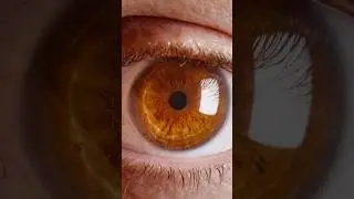 INSANE Sony 100mm Macro GM + 2x Teleconverter!!