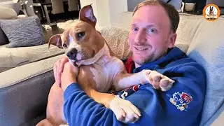 The Dog Everyone Overlooked&hellip;Until One Family Saw His Worth
