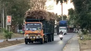 P Balap !!! Truk Gandeng Fuso Di Kejar Hino, Kalang Kabut