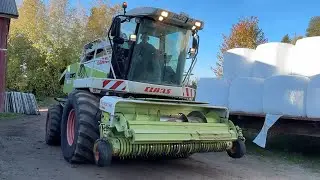 K&ouml;p Exakthack Claas Jaguar 850 speedstar med PU 300 HD Claas p&aring; Klaravik