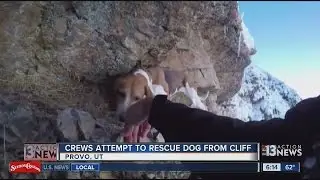 Crews attempt to rescue dog from cliff