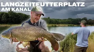 Kampf am Kanal: Langzeitfutterplatz-Projekt vor dem Aus? 👀⛔️