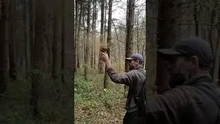 Smoke ritual in the forest😉