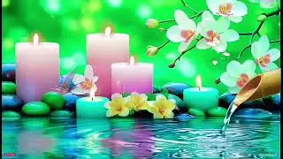 Zen Spa Relaxing Music - Healing Spa Sounds for Deep Relaxation & Peace | Tranquil Spa Escape 