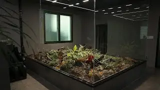 Redecorating a large indoor terrarium I built 3 years ago! | 3년전 만든 실내의 빅 테라리움 다시 꾸미기!