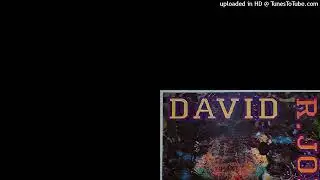Lover's Island (Radio Edit) - David R. Jones