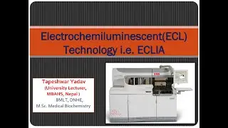 Electrochemiluminescence Immunoassay (ECLIA) Technology | Electrochemiluminescent (ECL) Technology