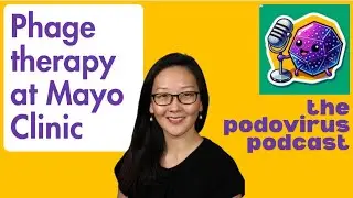 Gina Suh: How a Mayo Clinic doctor helps her patients get phage therapy