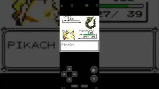 Pikachu defeats Brock's Onix
