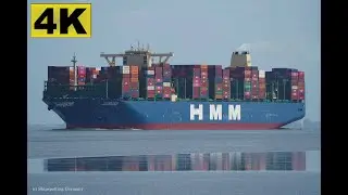 HMM COPENHAGEN - Shipspotting Germany 🇩🇪 IMO 9863302 - River Elbe near City Otterndorf - 4K VIDEO