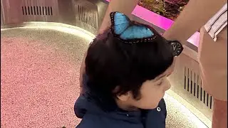 Isaac&rsquo;s adventures butterfly garden in Riyadh 