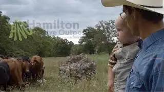 Diverse Native Grasslands
