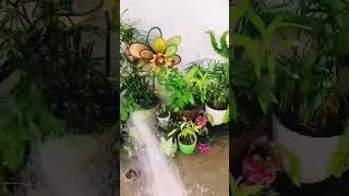 #yt#ytshorts #craft #diycraft #diycraft #planterideas @kalyaniscraft