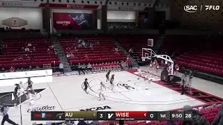Anderson (SC) vs UVA Wise Women's Basketball | SAC Highlights