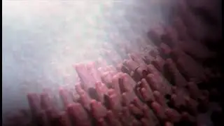 Le roman de l'eau : l'eau et sa planète