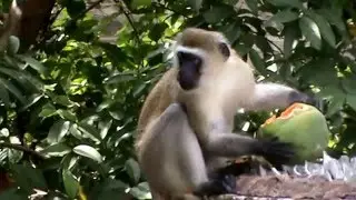 WARNING: Don't Watch If You Have This Habit