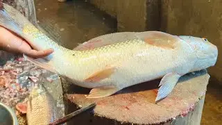 Amazing Mrigal Fish Cutting Skills In Fish Market By Expert Fish Cutter