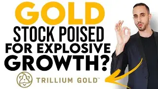 High Grade Gold Exploration Potential In Red Lake Ontario? Trillium Gold CEO Interview (TSXV:TGM)