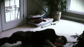 Interrupted - Action Short