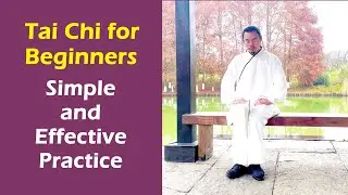Tai Chi for Beginners | Simple and Effective Practice