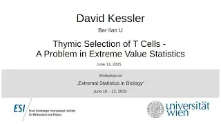 David Kessler - Thymic Selection of T Cells - A Problem in Extreme Value Statistics