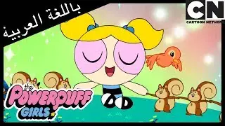 فتيات القوة | صبي الدلو | كرتون نتورك