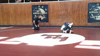 World Series of Jiu Jitsu | White Belt
