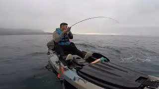 Pesca en Kayak Semana Santa | bonitos | Antofagasta