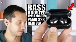 PAMU S28 REVIEW: Metal Earbuds? Really?