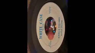 Butch Beaver - Birds & The Bees
