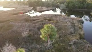 Old Florida vibes palm sunset ambient relaxing.