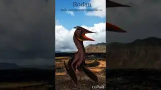 rodan (monsterverse) cientificamente aceit&aacute;vel #biologiaespeculativa #art #biology #cience #rodan
