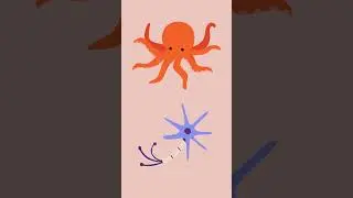 Did you know octopuses have nine brains? #facts #science