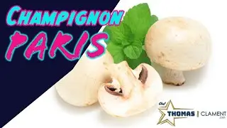 Comment pr&eacute;parer Champignons Paris | Cook e Club