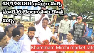 12/01/Today Khammam Mirchi market price| Khammam Mirchi market today Dharalu#Mirchi #mirchiratetoday