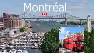 Montreal Hop-on Hop-off Bus tour Canada 🇨🇦 4K