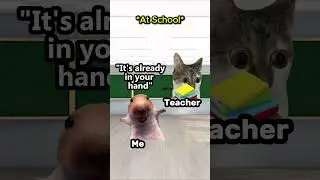CAT MEMES 😺 Random Superpower ... #catmemes #funnnycat