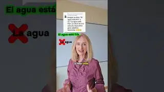 El art&iacute;culo 