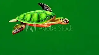 A green turtle flying through the air background green screen animated chromakey background style