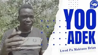 Yoo 3 Me Peko Ma Kedi Kingongo Wang Ma Iwok Ki Iye | Tam Pa Maktunu Brian Acoli Gate TV