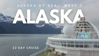Orcas, Eagles, and Breathtaking Views | Alaskan Cruise Vlog