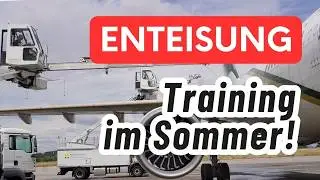 Enteisung im Sommer? Elefanten-Training am Flughafen